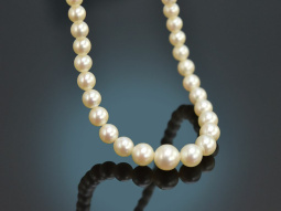 Around 1930! Fine Akoya cultured pearl necklace with 585...