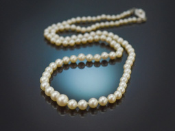 Around 1950! Classic Akoya cultured pearl necklace in gradient with 333 gold clasp