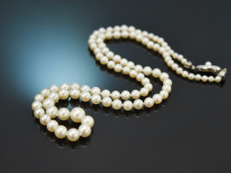 Around 1950! Classic Akoya cultured pearl necklace in...