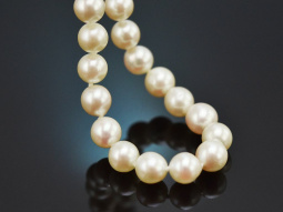 Around 1980! Very beautiful Akoya cultured pearl necklace...