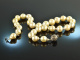 Golden South Seas pearls! Precious cultured pearls necklace clasp white gold 750 cognac diamonds 