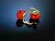 Big Boutons! Gro&szlig;e Korallen Coral Bouton Ohrclipse Earrings Gold 585 Italien um 1960