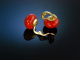 Big Boutons! Gro&szlig;e Korallen Coral Bouton Ohrclipse Earrings Gold 585 Italien um 1960