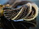 Um 1965! Feinstes Vintage Armband 20reihig naturfarbene schwarze und wei&szlig;e Akoja Perlen Gold 750 Diamanten